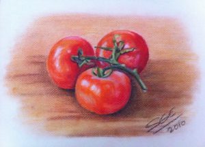 Pastel sketch of three tomatoes by Soraya Gwynne-Evans 